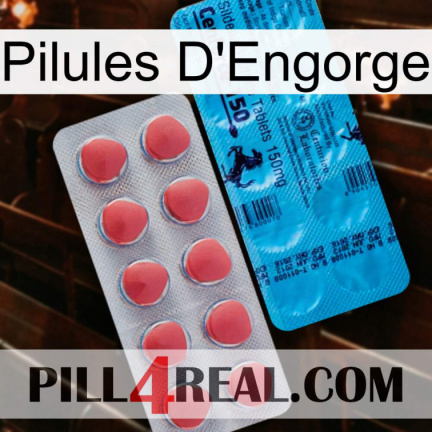 Engorge Pills new14